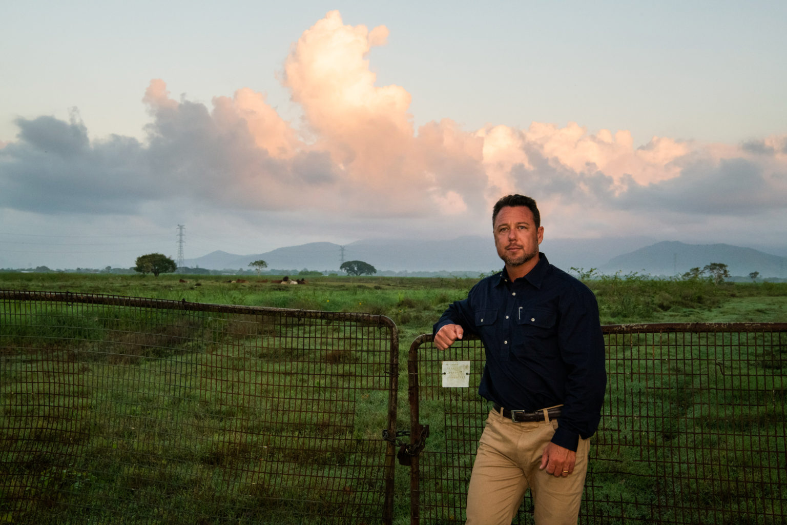 Rspca successful campaigns image